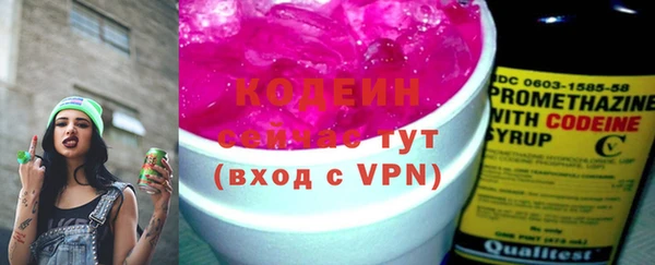 хмурый Ладушкин