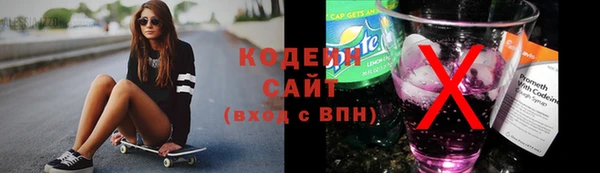хмурый Ладушкин