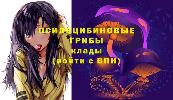 гидропоника Липки