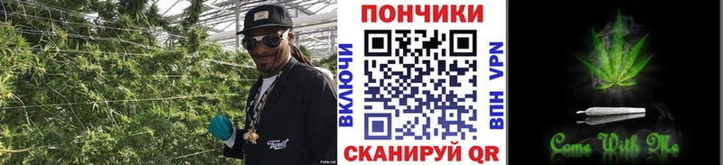 Марихуана семена  Купить  Зверево 